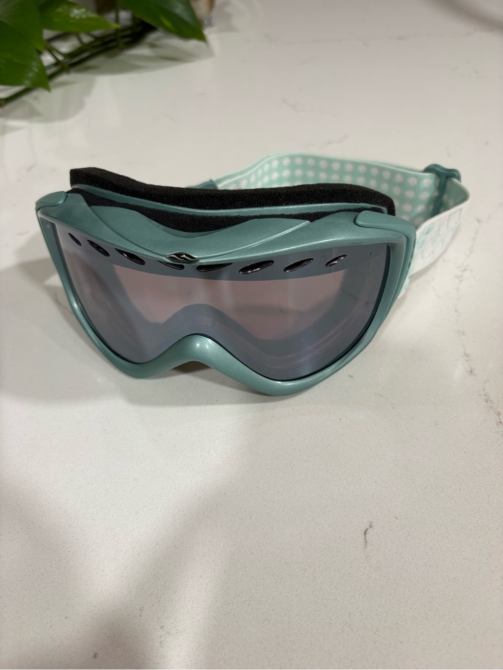 Smith Optics Transit Pro Ski and Snowboard Goggles